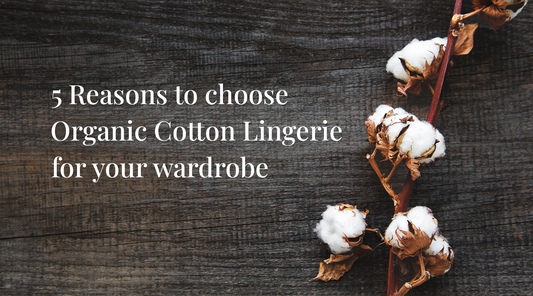 5 Reasons to Choose Organic Cotton Lingerie for Your Wardrobe